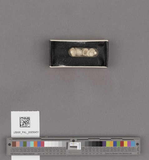 NSF ADBC EPICC TCN