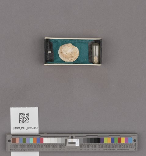 NSF ADBC EPICC TCN