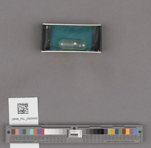 NSF ADBC EPICC TCN