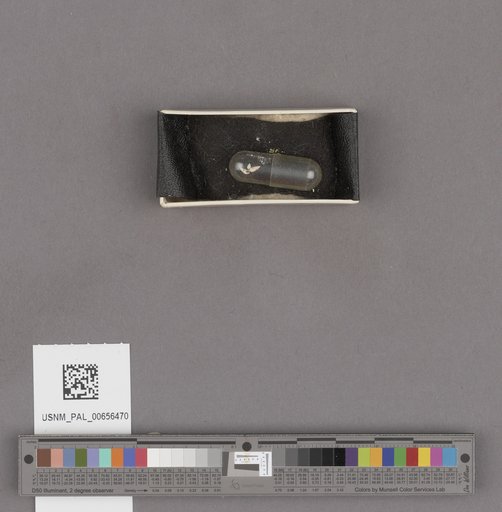 NSF ADBC EPICC TCN