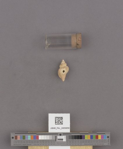 NSF ADBC EPICC TCN