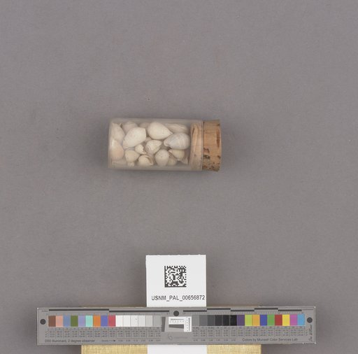 NSF ADBC EPICC TCN