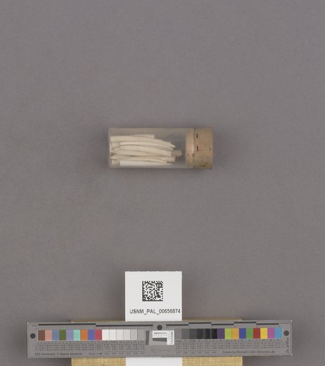 NSF ADBC EPICC TCN