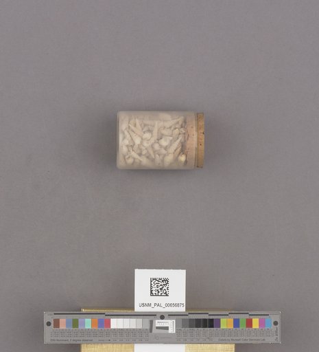 NSF ADBC EPICC TCN
