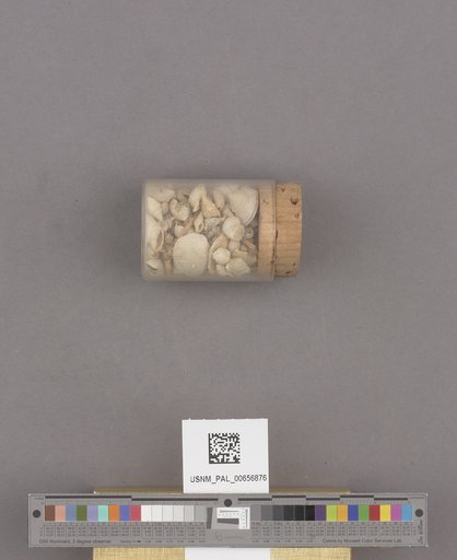 NSF ADBC EPICC TCN