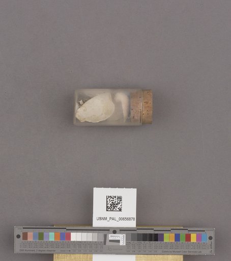 NSF ADBC EPICC TCN