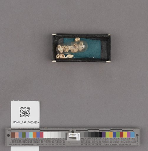 NSF ADBC EPICC TCN