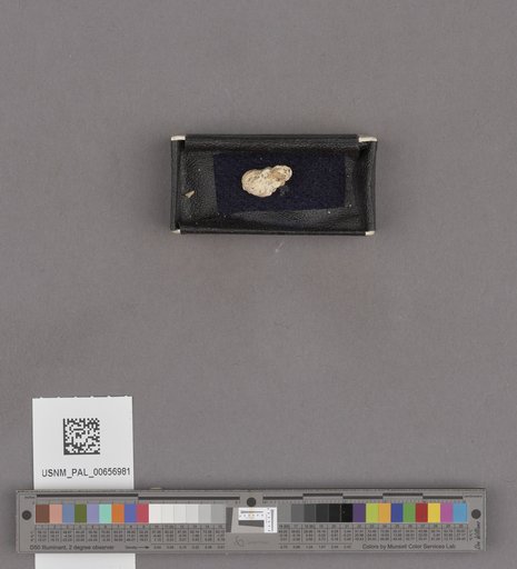 NSF ADBC EPICC TCN