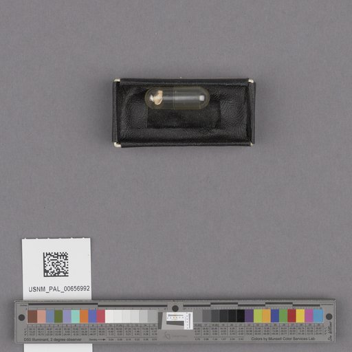 NSF ADBC EPICC TCN