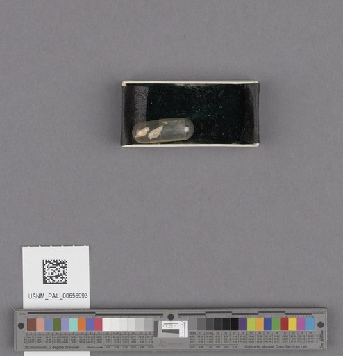 NSF ADBC EPICC TCN