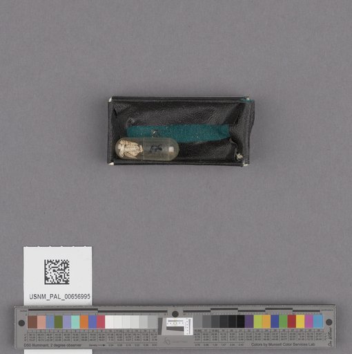 NSF ADBC EPICC TCN