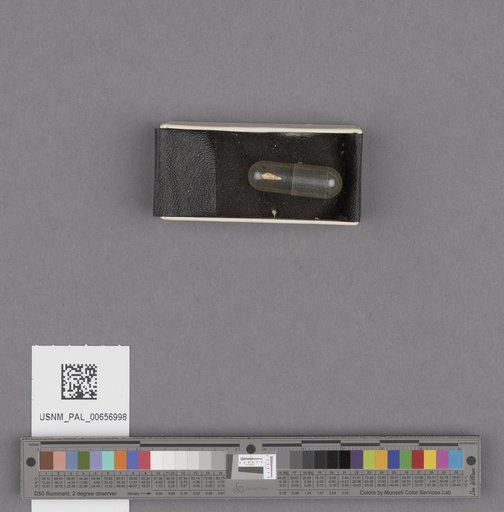 NSF ADBC EPICC TCN