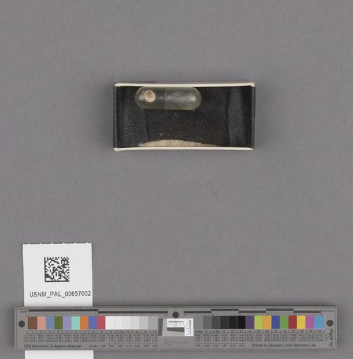 NSF ADBC EPICC TCN