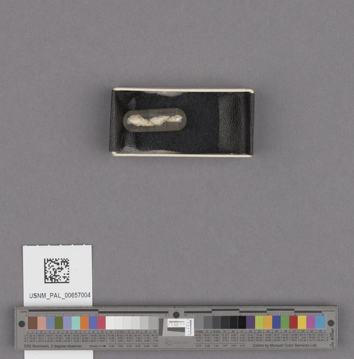 NSF ADBC EPICC TCN