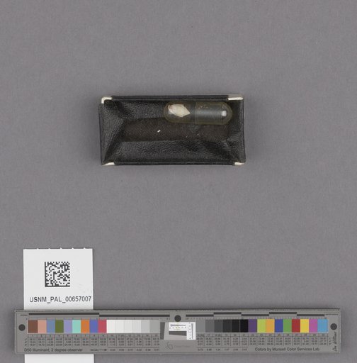 NSF ADBC EPICC TCN