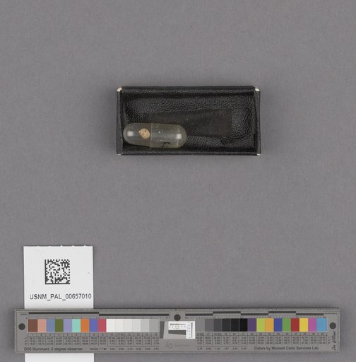 NSF ADBC EPICC TCN