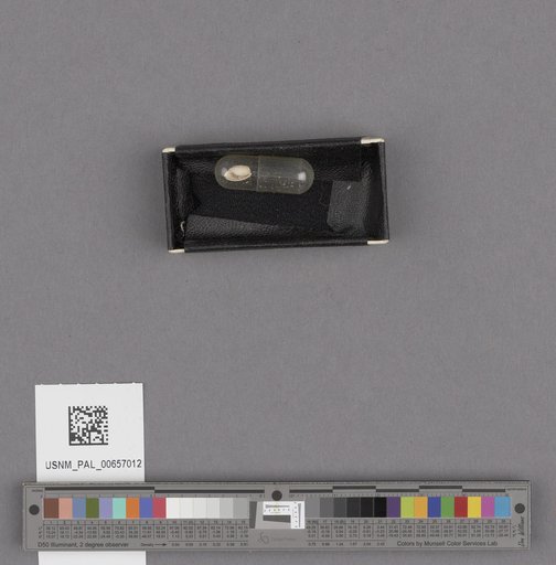 NSF ADBC EPICC TCN