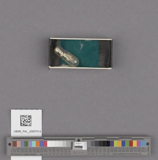 NSF ADBC EPICC TCN