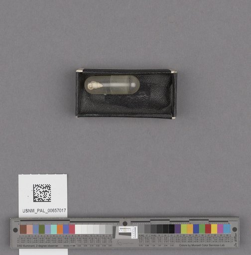 NSF ADBC EPICC TCN