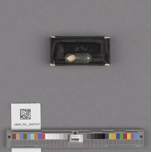 NSF ADBC EPICC TCN