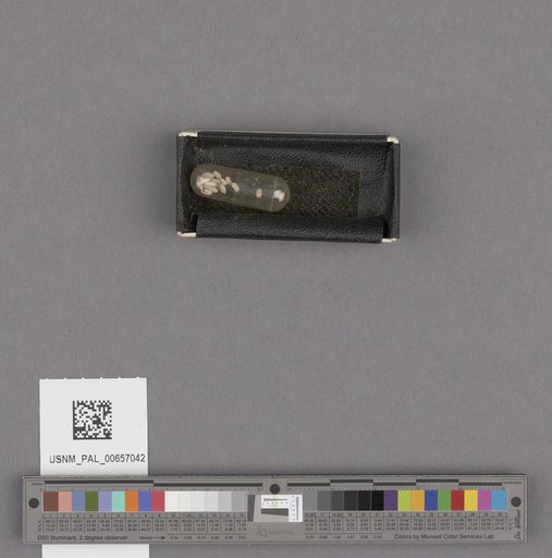 NSF ADBC EPICC TCN