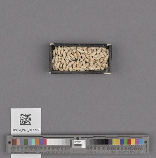 NSF ADBC EPICC TCN