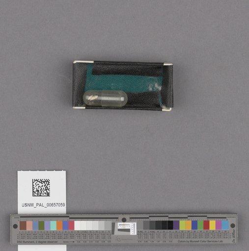 NSF ADBC EPICC TCN