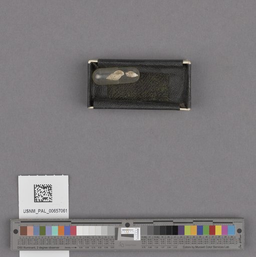 NSF ADBC EPICC TCN