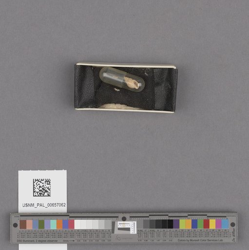 NSF ADBC EPICC TCN
