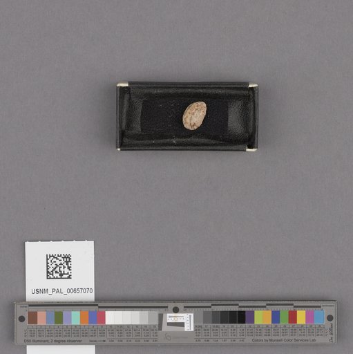 NSF ADBC EPICC TCN