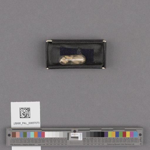 NSF ADBC EPICC TCN