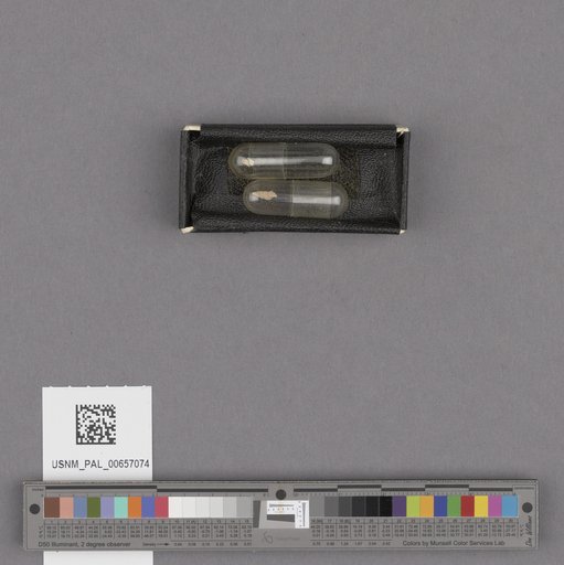 NSF ADBC EPICC TCN