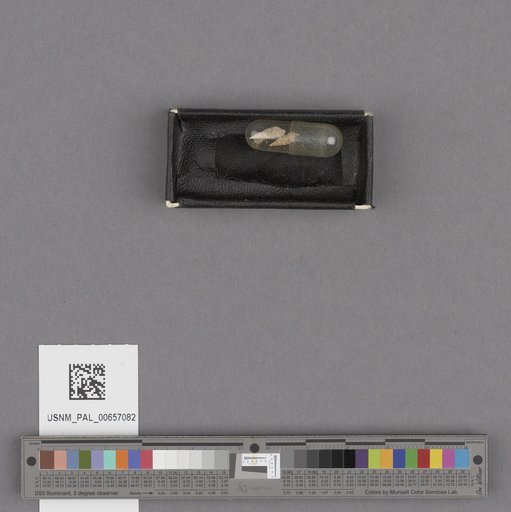 NSF ADBC EPICC TCN