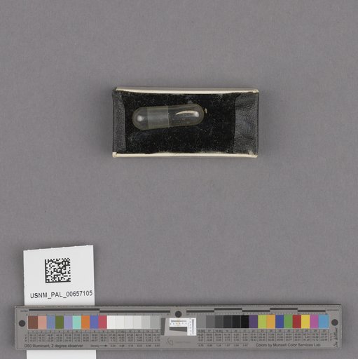 NSF ADBC EPICC TCN