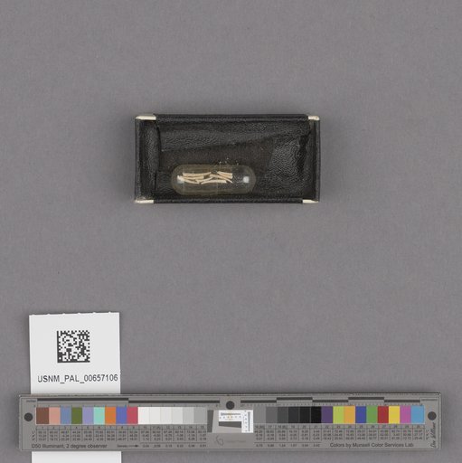 NSF ADBC EPICC TCN