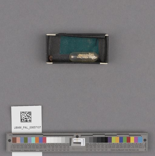 NSF ADBC EPICC TCN