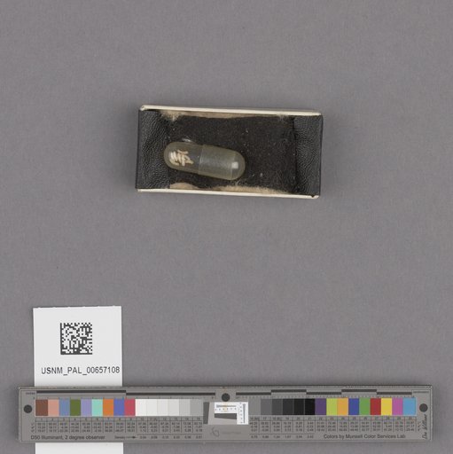 NSF ADBC EPICC TCN