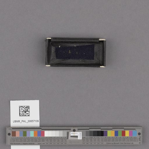 NSF ADBC EPICC TCN