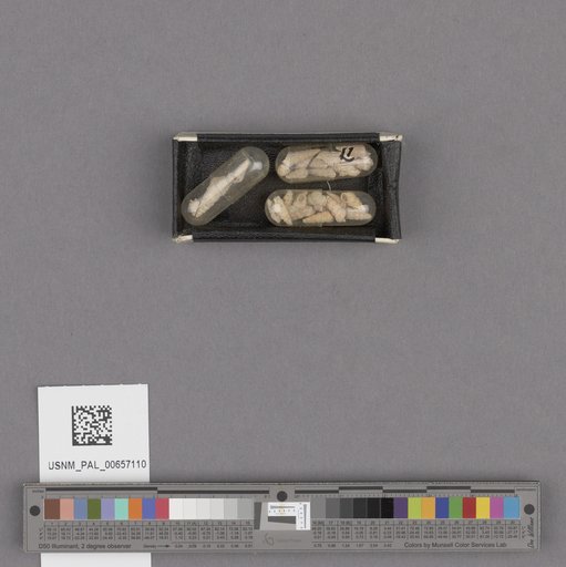 NSF ADBC EPICC TCN