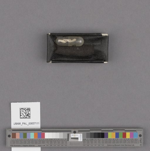 NSF ADBC EPICC TCN