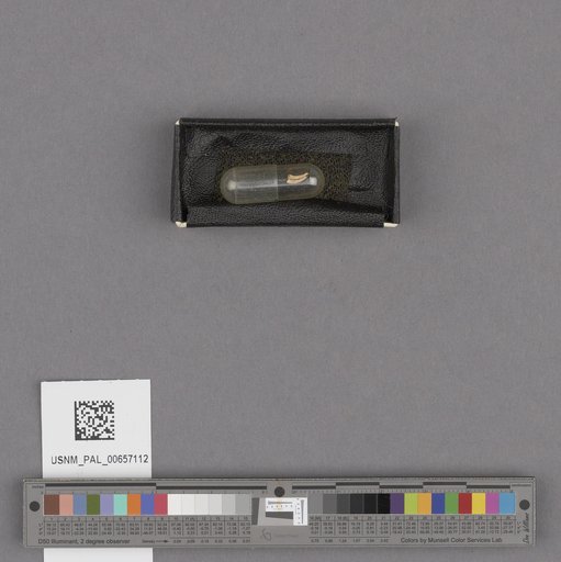 NSF ADBC EPICC TCN