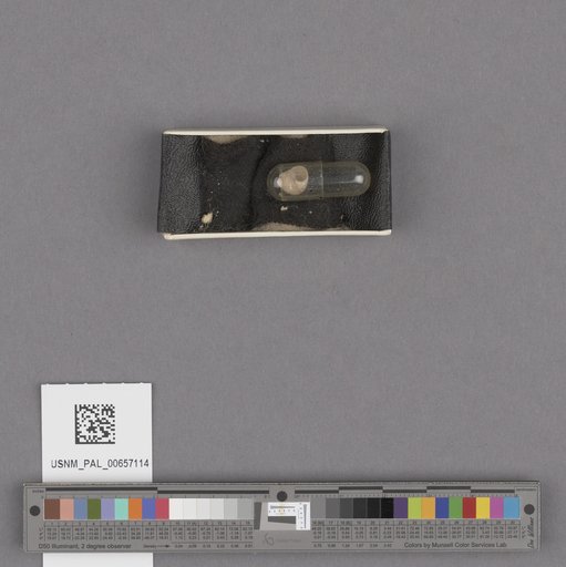 NSF ADBC EPICC TCN