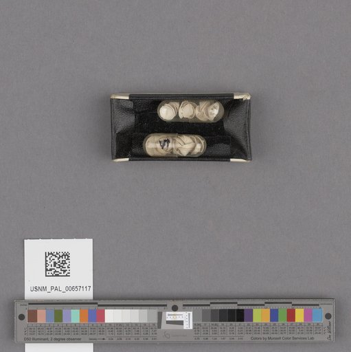 NSF ADBC EPICC TCN