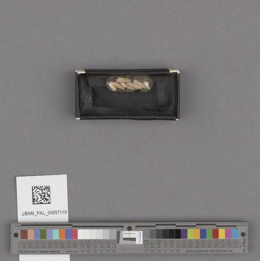 NSF ADBC EPICC TCN