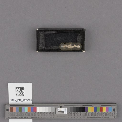 NSF ADBC EPICC TCN