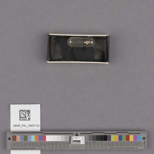 NSF ADBC EPICC TCN
