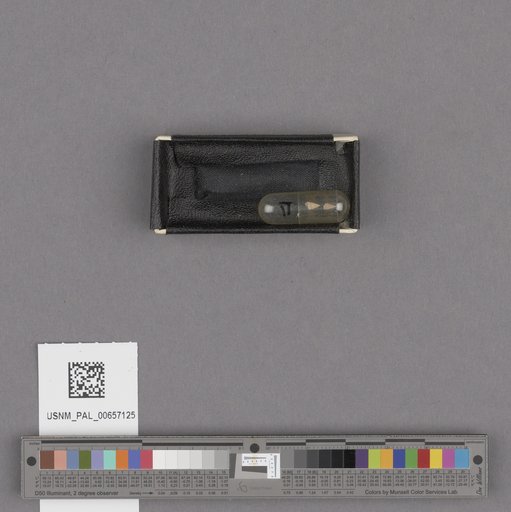 NSF ADBC EPICC TCN
