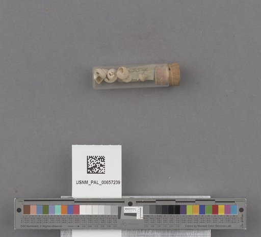 NSF ADBC EPICC TCN