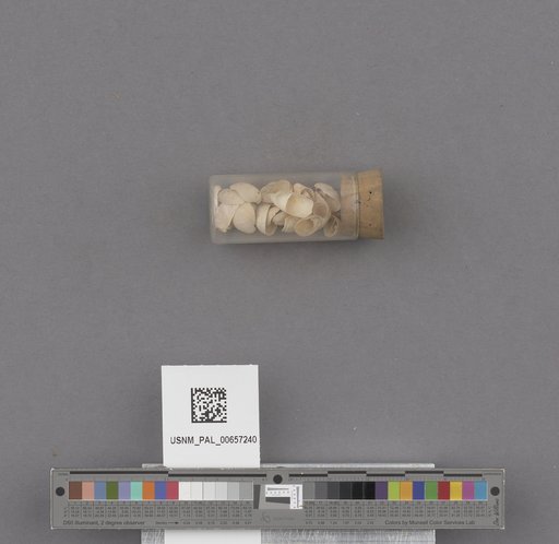 NSF ADBC EPICC TCN