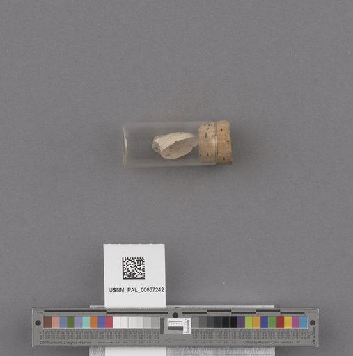 NSF ADBC EPICC TCN